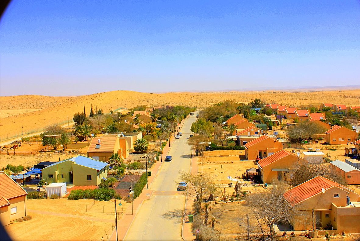 כמהין (צילום: אלעד ואן-שפיגל/ GDL)